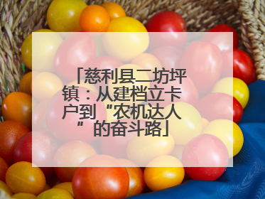 慈利县二坊坪镇：从建档立卡户到“农机达人”的奋斗路